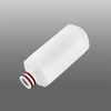 FCS series PES Filter Cartridge