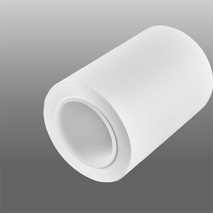 Nitrocellulose (NC) Membrane