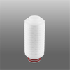 FCT series PTFE Filter Cartridge